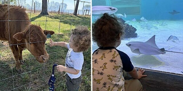 Un día de diversión semanal ayuda a combatir los terribles dos

 | Parenting,parenting,parenting-freelancer,toddler,tantrums