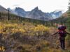Los mejores y peores parques nacionales, según los viajeros que han visitado los 63
| Travel,freelancer-le,national-parks,parks,travel,yosemite-national-park,grand-teton,big-bend-national-park,evergreen-story Los mejores y peores parques nacionales, según los viajeros que han visitado los 63
| Travel,freelancer-le,national-parks,parks,travel,yosemite-national-park,grand-teton,big-bend-national-park,evergreen-story