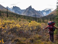 Los mejores y peores parques nacionales, según los viajeros que han visitado los 63
| Travel,freelancer-le,national-parks,parks,travel,yosemite-national-park,grand-teton,big-bend-national-park,evergreen-story Los mejores y peores parques nacionales, según los viajeros que han visitado los 63
| Travel,freelancer-le,national-parks,parks,travel,yosemite-national-park,grand-teton,big-bend-national-park,evergreen-story