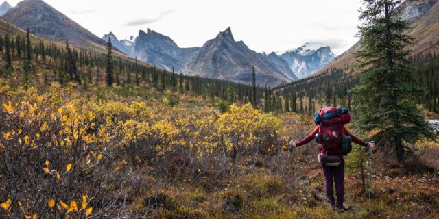 Los mejores y peores parques nacionales, según los viajeros que Los mejores y peores parques nacionales, según los viajeros que han visitado los 63
| Travel,freelancer-le,national-parks,parks,travel,yosemite-national-park,grand-teton,big-bend-national-park,evergreen-story