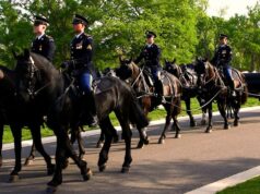 Parte del esfuerzo de 30 millones de dólares del ejército de EE. UU. para renovar el programa de entierro de caballos de Arlington
| Military & Defense,funeral-services,horses,army,the-old-guard,military,video-to-text Parte del esfuerzo de 30 millones de dólares del ejército de EE. UU. para renovar el programa de entierro de caballos de Arlington
| Military & Defense,funeral-services,horses,army,the-old-guard,military,video-to-text