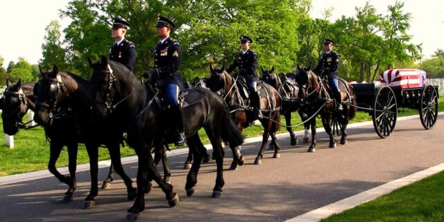 Parte del esfuerzo de 30 millones de dólares del ejército de EE. UU. para renovar el programa de entierro de caballos de Arlington

 | Military & Defense,funeral-services,horses,army,the-old-guard,military,video-to-text