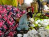 La ciudad que produce el 70% del fútbol mundial
| Economy,International,Sports,new-this-week,new-this-week-video,video-format-big-business,big-business,fifa,football,soccer,world-cup,manufacturing,exports,sports,es-lenovo-vidrb-lenovo-vidrb La ciudad que produce el 70% del fútbol mundial
| Economy,International,Sports,new-this-week,new-this-week-video,video-format-big-business,big-business,fifa,football,soccer,world-cup,manufacturing,exports,sports,es-lenovo-vidrb-lenovo-vidrb