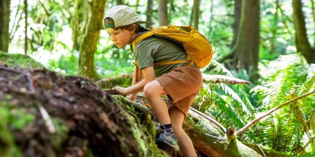 Psicólogo: Criar niños emocionalmente maduros les ayuda en la era Psicólogo: Criar niños emocionalmente maduros les ayuda en la era de la IA
| Health,Parenting,parenting,kids,ai,workforce,resilience,work,career,college