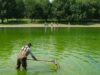 La piscina reflectante del Lincoln Memorial se vuelve verde nuevamente después de una renovación de $14 millones
| Politics,Science,lincoln-memorial,trump,renovation,washington-dc,politics La piscina reflectante del Lincoln Memorial se vuelve verde nuevamente después de una renovación de $14 millones
| Politics,Science,lincoln-memorial,trump,renovation,washington-dc,politics