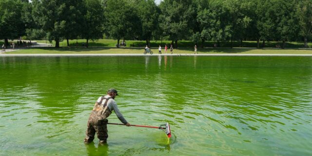 La piscina reflectante del Lincoln Memorial se vuelve verde nuevamente después de una renovación de $14 millones

 | Politics,Science,lincoln-memorial,trump,renovation,washington-dc,politics