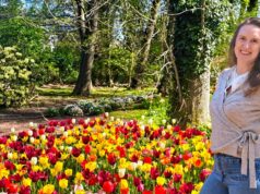 Se mudó a Bélgica para evitar una relación a distancia.
| Travel,Real Estate,moving-for-love,living-abroad,belgium,expat,europe,personal-essay,brussels Se mudó a Bélgica para evitar una relación a distancia.
| Travel,Real Estate,moving-for-love,living-abroad,belgium,expat,europe,personal-essay,brussels