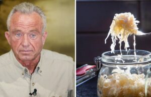 Dieta del chucrut: por qué RFK Jr. come alimentos fermentados y beneficios para la salud
| Health,gut-health,sauerkraut,rfk-jr,jd-vance,healthy-eating,gut-microbiome Dieta del chucrut: por qué RFK Jr. come alimentos fermentados y beneficios para la salud
| Health,gut-health,sauerkraut,rfk-jr,jd-vance,healthy-eating,gut-microbiome