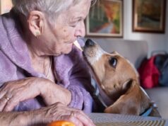 Mi anciana madre y yo somos dueños de una casa juntos. ¿Medicaid forzará su venta?
| Mi anciana madre y yo somos dueños de una casa juntos. ¿Medicaid forzará su venta?
|