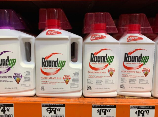 Las acciones de Bayer saltan después de que la Corte Suprema falle a favor del fabricante de herbicidas Roundup

 | 