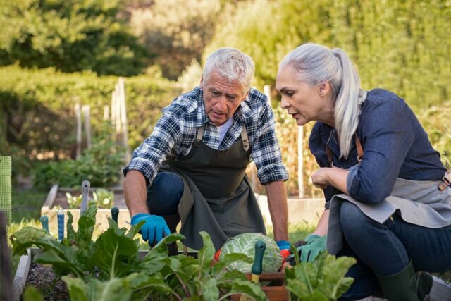 “Somos dueños absolutos de nuestra casa”: tengo 67 años y “Somos dueños absolutos de nuestra casa”: tengo 67 años y gano 100.000 dólares. ¿Debo retirar mis $30,000 del Seguro Social ahora o esperar?
|