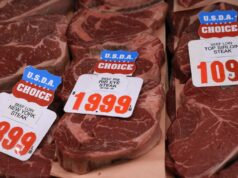La inflación alcanzó su punto máximo en mayo, mientras que los precios de la energía cayeron en junio, creen los comerciantes de Kalshi
| La inflación alcanzó su punto máximo en mayo, mientras que los precios de la energía cayeron en junio, creen los comerciantes de Kalshi
|