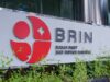 BRIN abre programa de pasantías para estudiantes
| BRIN abre programa de pasantías para estudiantes
|