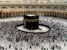 Los costos de organizar el Hajj podrían aumentar
| Los costos de organizar el Hajj podrían aumentar
|
