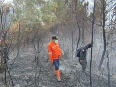Al amanecer de la estación seca, Dairi aprovecha un TKD adicional para construir un centro de mando para anticiparse a incendios forestales y terrestres.
| Al amanecer de la estación seca, Dairi aprovecha un TKD adicional para construir un centro de mando para anticiparse a incendios forestales y terrestres.
|