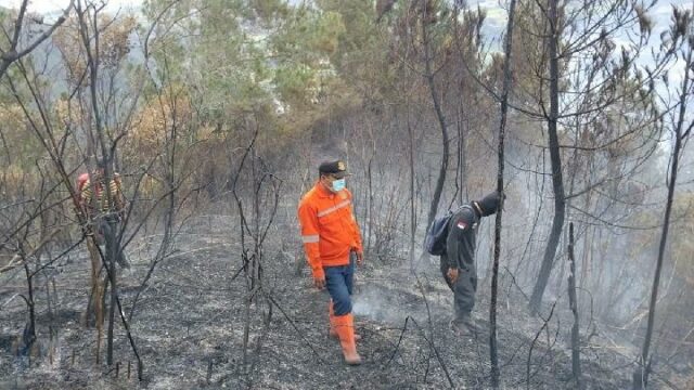 Al amanecer de la estación seca, Dairi aprovecha un TKD Al amanecer de la estación seca, Dairi aprovecha un TKD adicional para construir un centro de mando para anticiparse a incendios forestales y terrestres.
|