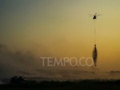 Incendio Jatiwaringin TPA: por condiciones climáticas, 5 días sin extinguir
| Incendio Jatiwaringin TPA: por condiciones climáticas, 5 días sin extinguir
|