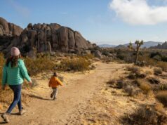 Llevé a mis hijos conmigo a un viaje de trabajo por primera vez; Funcionó
| Careers,Travel,Health,freelancer-le,work-travel,travel,traveling-with-kids,business-travel,personal-essay,essay,evergreen-story Llevé a mis hijos conmigo a un viaje de trabajo por primera vez; Funcionó
| Careers,Travel,Health,freelancer-le,work-travel,travel,traveling-with-kids,business-travel,personal-essay,essay,evergreen-story