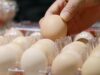 Big Egg (supuestamente) nos dijo por qué los precios eran tan altos
| Economy,eggs,expensive-eggs,department-of-justice,price-fixing,grocery-prices,inflation Big Egg (supuestamente) nos dijo por qué los precios eran tan altos
| Economy,eggs,expensive-eggs,department-of-justice,price-fixing,grocery-prices,inflation
